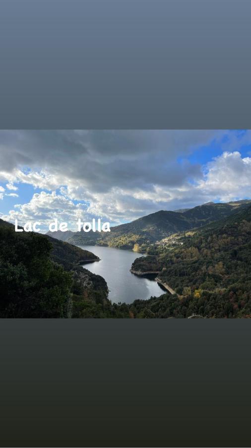 Magnifique Villa Recente Entre Mer Et Montagne Situee Entre Ajaccio Et Porticcio Cauro Екстер'єр фото